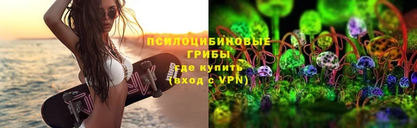 сатива Белоозёрский