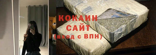 индика Беломорск