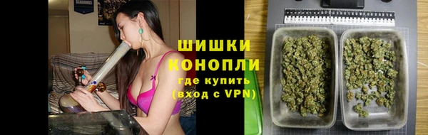 сатива Белоозёрский