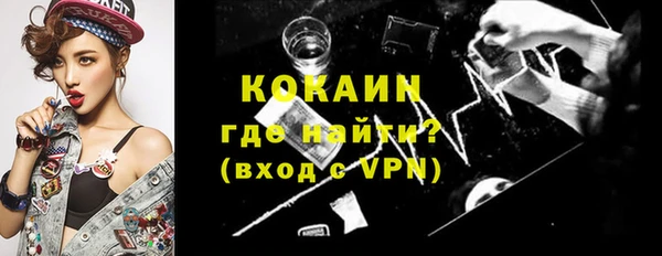 индика Беломорск