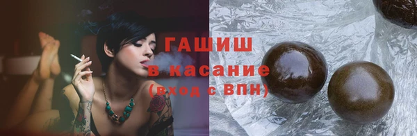 индика Беломорск