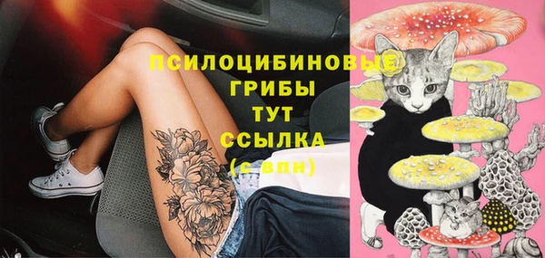 сатива Белоозёрский