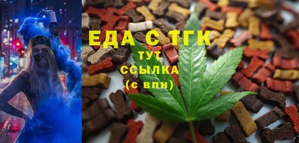 индика Беломорск