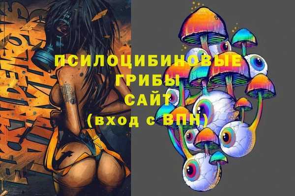 индика Беломорск