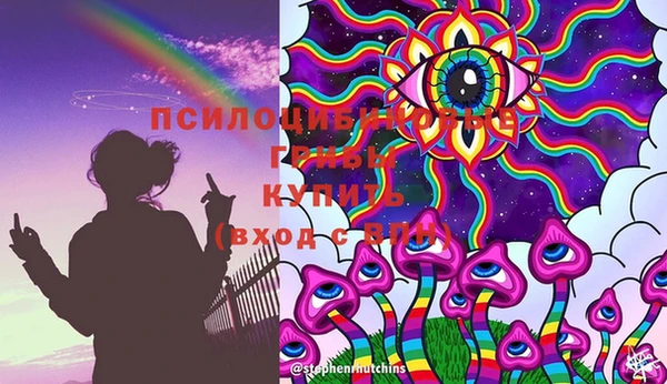 индика Беломорск