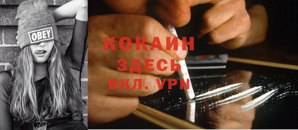 сатива Белоозёрский