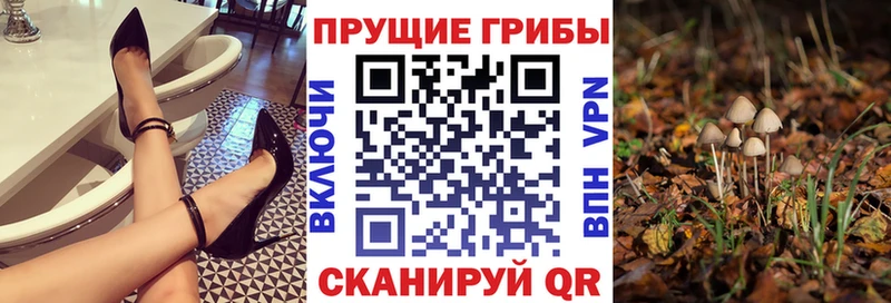 Галлюциногенные грибы GOLDEN TEACHER  Волгореченск 